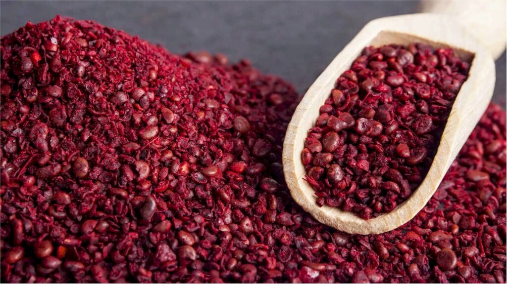 Delicious spice: the sumac